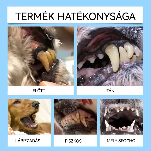 [🇭🇺 Hivatalos Áruház] 🐰Healrize® Állati Fogászati és Emésztési Egészséget Támogató Orális Folyadék – Friss lehelet, fogkő eltávolítása és ínyregeneráció támogatása, a fogak stabilizálása (macskáknak és kutyáknak) – Ma 70% kedvezmény!