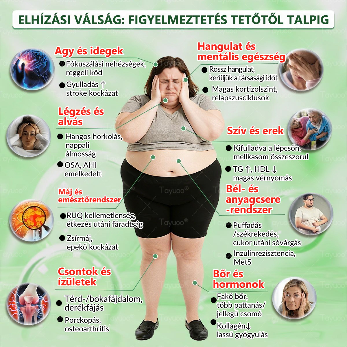 Hivatalos Webáruház | 👑👑 𝐓𝙖𝙮𝒖𝙤𝙤®  𝗠𝗼𝗿𝗶𝗻𝗴𝗮 ·𝑩𝒆𝒓𝒃𝒆𝒓𝒊𝒏𝒆 × 𝗡𝗔𝗗 𝗞𝗮𝗿𝗰𝘀ú𝘀í𝘁ó é𝙨 𝒃é𝒍𝒓𝒆𝒏𝒅𝒔𝒛𝒆𝒓𝒊 𝐞𝐠é𝐬𝐳𝐬é𝐠𝐞𝐭 𝒆𝒍ő𝒔𝒆𝒈í𝒕ő 𝙣𝙖𝙣𝙤 𝗺𝗶𝗸𝗿𝗼𝘁ű𝘀 𝒕𝒂𝒑𝒂𝒔𝒛 🇭🇺  (𝙉𝙖𝙥𝙤𝙣𝙩𝙖 𝙘𝙨𝙖𝙠 𝙚𝙜𝙮𝙨𝙯𝙚𝙧 — 𝙖𝙯 𝙚𝙡𝙨ő 𝙡á𝙩𝙝𝙖𝙩ó 𝙫á𝙡𝙩𝙤𝙯á𝙨𝙤𝙠 𝙢á𝙧 7 𝙣𝙖𝙥 𝙪𝙩á𝙣) ✅  Átfogó támogatás az alakformáláshoz