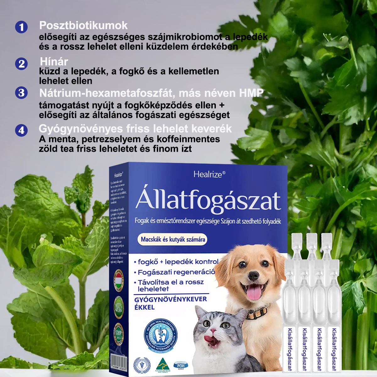 [🇭🇺 Hivatalos Áruház] 🐰Healrize® Állati Fogászati és Emésztési Egészséget Támogató Orális Folyadék – Friss lehelet, fogkő eltávolítása és ínyregeneráció támogatása, a fogak stabilizálása (macskáknak és kutyáknak) – Ma 70% kedvezmény!